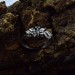 loral Gothic Ring with Dazzling Aquamarine Gemstone