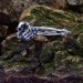 Gothic Skeleton Hand Ring - Unique Silver Statement