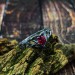 Intricate Silver Ring with Vibrant Ruby Gemstone