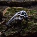 Gothic Skull Ring with Emerald Highlights
