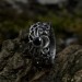 Gothic Silver Ring Featuring Black Onyx and Moon Motif