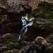 Gothic Silver Ring with a Vibrant Olivine Gemstone