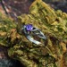 Gothic Amethyst Ring with Elegant Nature-Inspired Design