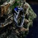 Twilight Crown: Gothic Sterling Silver Ring with Sapphire Gemstone