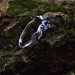 Elegant Gothic Ring with Triple Sapphire Design