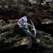 Thorned Bloom: Gothic Sterling Silver Ring with Enchanted Ruby