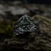 Gothic Emerald Ring with Intricate Nature Motif