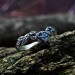 Celestial Harmony: Gothic Ring with Blue Radiance