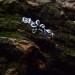 Gothic Silver Ring with Emerald and Subtle Vines