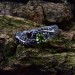 Silver Ring with Emerald and Ruby in a Nature-Inspired Design