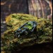 Enchanted Gothic Peridot Ring with Leaf Motif