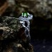 Gothic Dragon Ring with Enchanted Peridot Gemstone.
