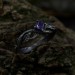 Twilight Bloom: Sterling Silver Ring with a Radiant Amethyst