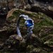 Gothic Silver Ring with Mesmerizing Blue Aquamarine