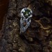 Nature-Inspired Gothic Ring with Peridot Gemstone