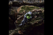 Unique Engagement Ring Nature Inspired, Willow Twig and Leaf Ring, Elven Branch and Leaves Ring, Fantasy Forest Fairy Ring, Witchy Jewelry