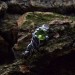 Twilight Silver Ring with Emerald Glow