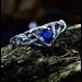 Twilight Crown: Gothic Sterling Silver Ring with Sapphire Gemstone