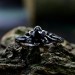 Gothic Obsidian Ring with Enchanted Floral Motif