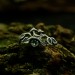 Enchanted Grove: Gothic Emerald Ring of Nature's Elegance