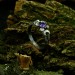 Gothic Amethyst Ring with Enchanted Leaf Design