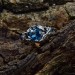 Elegant Blue Topaz Gothic Silver Ring