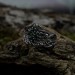 Gothic Emerald Ring with Intricate Nature Motif