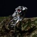 Gothic Silver Ring with Garnet and Twisted Vines