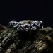 Gothic Silver Ring with Garnet and Twisted Vines