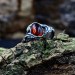 Gothic Garnet Ring with Enchanted Flame Design