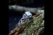 Fantasy Moonstone Nature Ring with Tree of Life Design, Whimsical Wedding Ring for Woman with Floral Branch Band