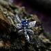 Gothic Silver Ring with Dragonfly and Blue Topaz