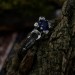 Stunning Silver Ring with Sapphire and Lunar Motif