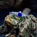 Gothic Sapphire Ring with Enchanted Twisting Motif