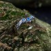 Delicate Silver Band with Twisting Aquamarines