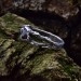 Gothic Garnet Ring with Elegant Vine Motif