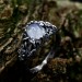Gothic Moonstone Ring with Intricate Forest Design