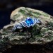 Gothic Aquamarine Ring with Enchanted Leaf Motif
