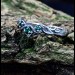 Whispers of the Forest: Sterling Silver Ring with Emerald Accents