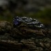 Twilight Bloom: Sterling Silver Ring with a Radiant Amethyst