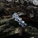 Exquisite Celtic Knot Ring in Polished Silver