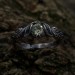 Gothic Silver Ring with a Vibrant Peridot 
