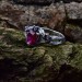 Gothic Ruby Heart Ring with Dragon Claws
