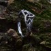 Woven Eternity: Gothic Sterling Silver Ring with Celtic Knotwork