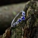 Gothic Silver Ring with Sapphire and Vine Motif