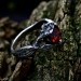 Heart of Ember: Gothic Sterling Silver Ring with Fiery Garnet