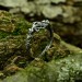 Elegant Gothic Ring with Celtic Knot Motif