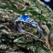 Gothic Aquamarine Ring with Enchanted Leaf Motif