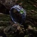 Silver Ring with Emerald and Ruby in a Nature-Inspired Design