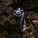Gothic Nature-Inspired Ring with Mystic Topaz|Unique Gothic Dark Engagement Ring 